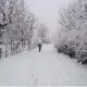 Kashmir to hold gala events