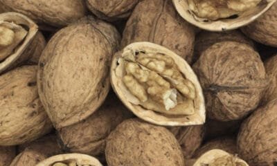 Kupwara to export red-rice walnuts