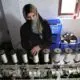 Emerging entrepreneurship model in sericulture