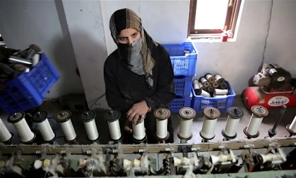 Emerging entrepreneurship model in sericulture