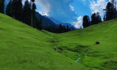 Mohu Valley: The unexplored paradise