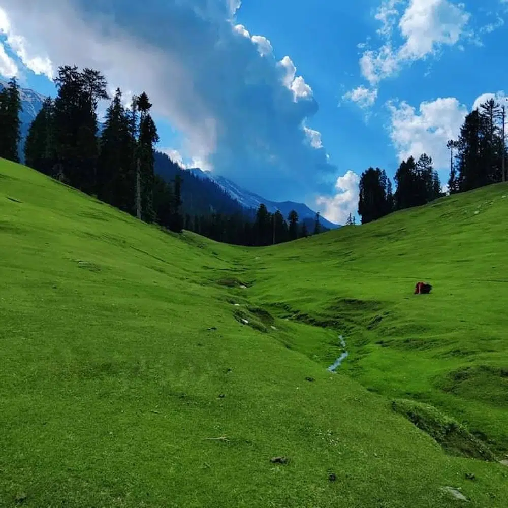 Mohu Valley: The unexplored paradise