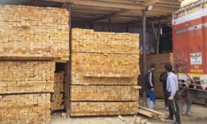 Wood Shortage high prices